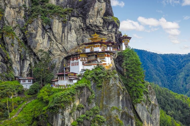 Paro