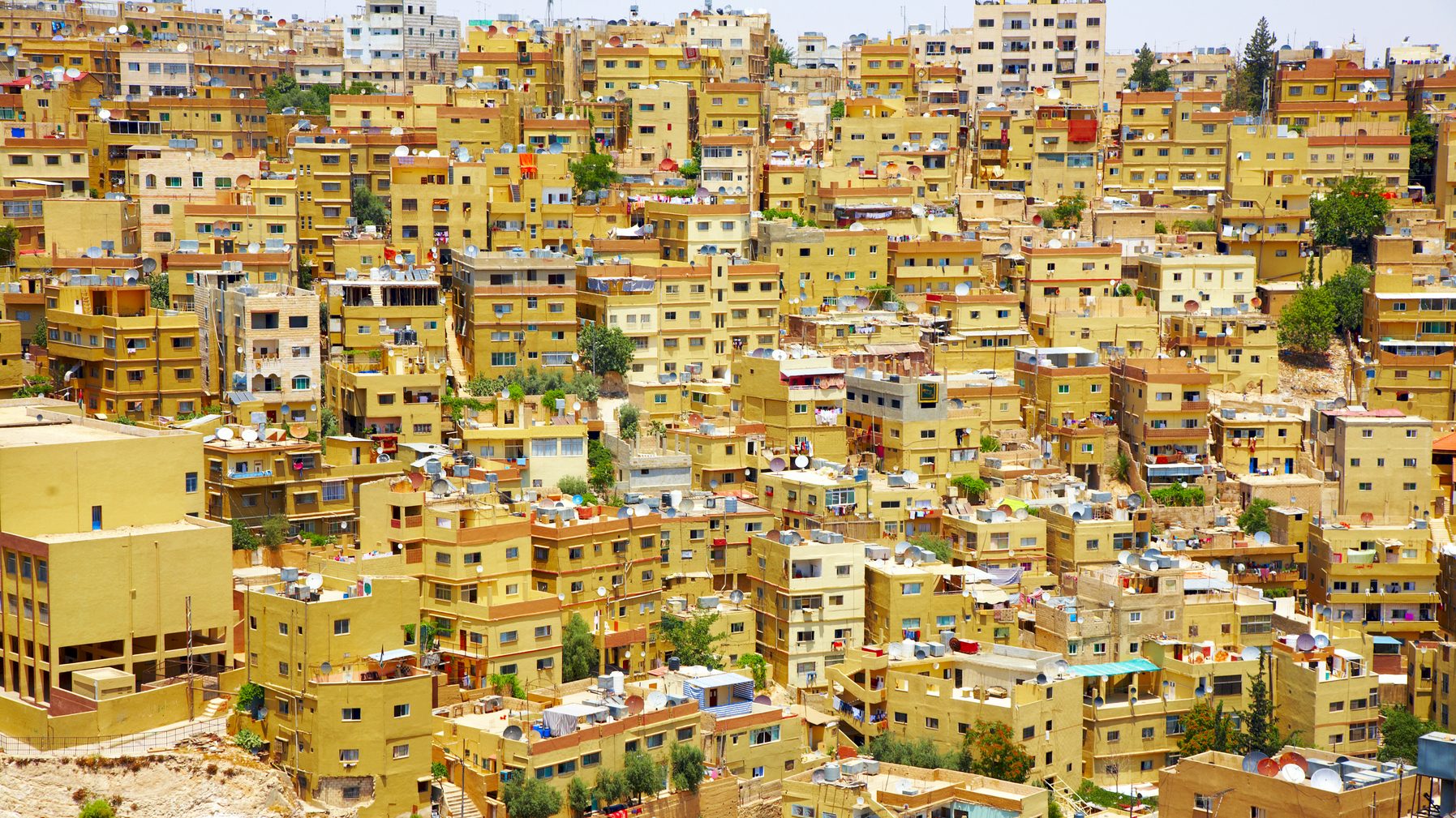 Amman