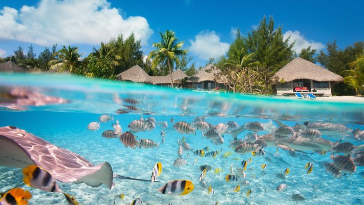 Moorea