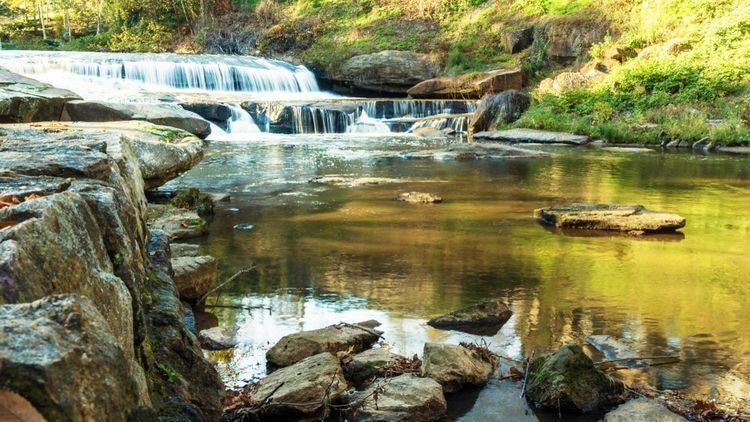 Greenville (North Carolina)